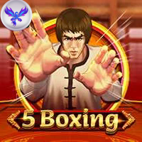 5 BOXING