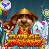 FORTUNE DOGS