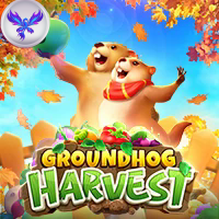 GROUNDHOG HARVEST