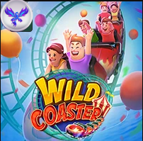 WILD COASTER