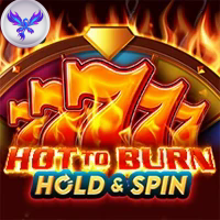 HOT TO BURN HOLD AND SPIN